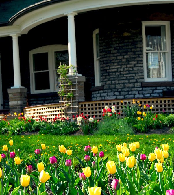Spring Maintenance Tips for Renters