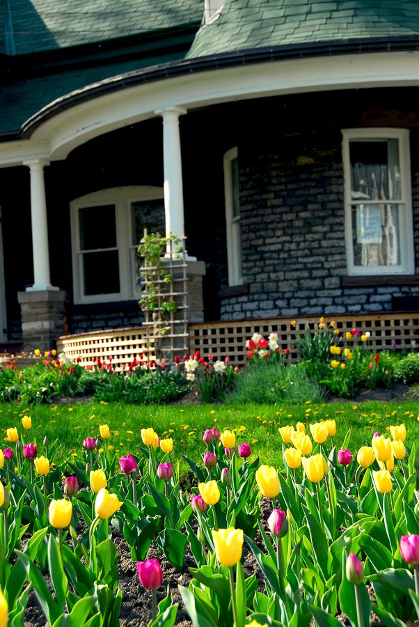 Spring Maintenance Tips for Renters