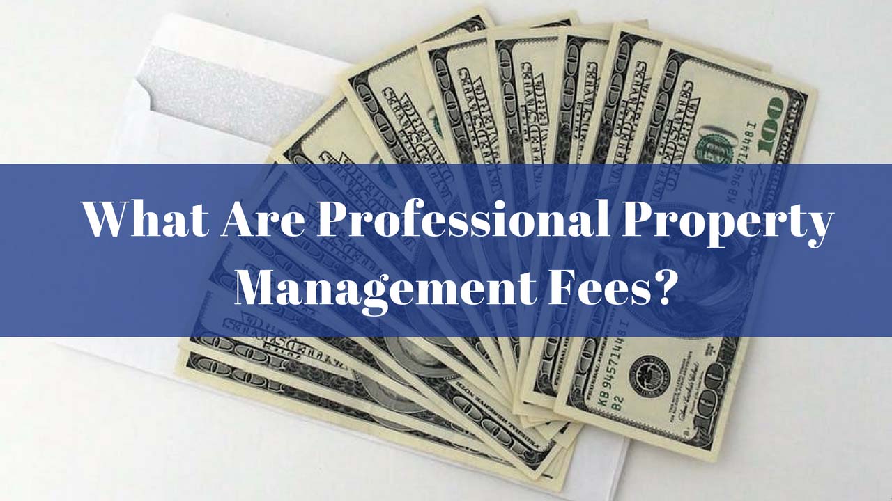 what-are-professional-property-management-fees-key-partners