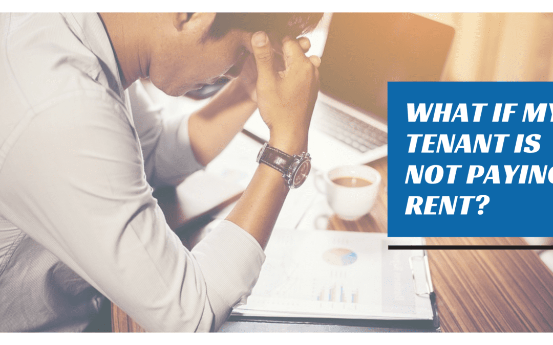 Kansas City Property Management Advice: What if My Tenant is Not Paying Rent?